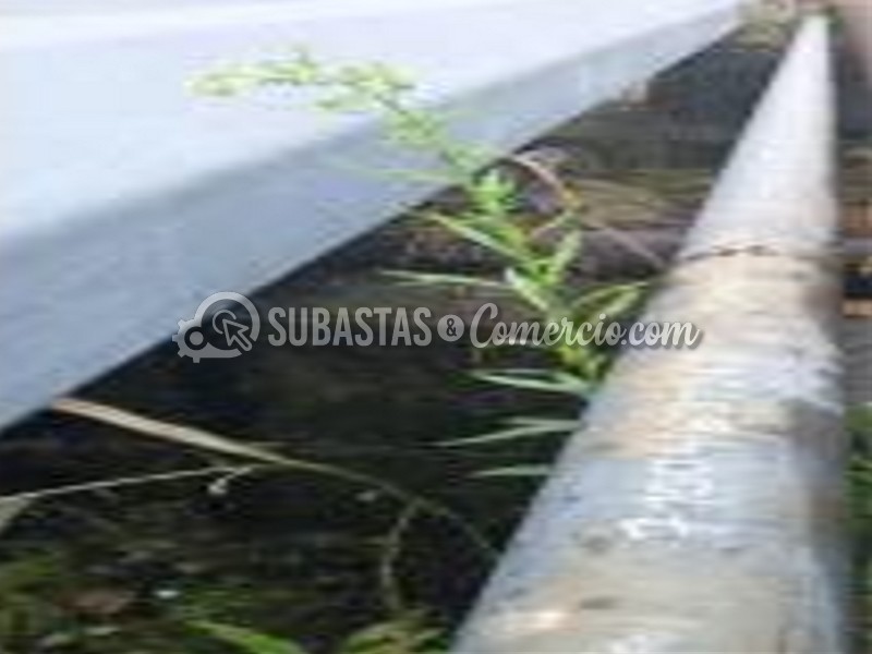 Captura de pantalla 2026-01-13 103235.jpg